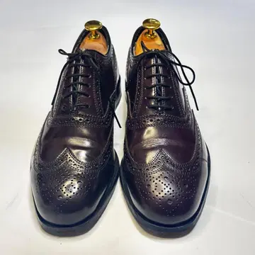 Florsheim 다크 브라운 윙 칩