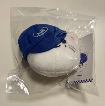 straykids 스키즈 karma 볼캡 키링 진니렛