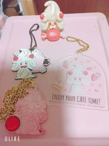 포켓몬 마호이프 굿즈 세트