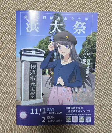 하마타이사이 팜플렛