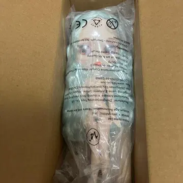 아이시 인형 본체