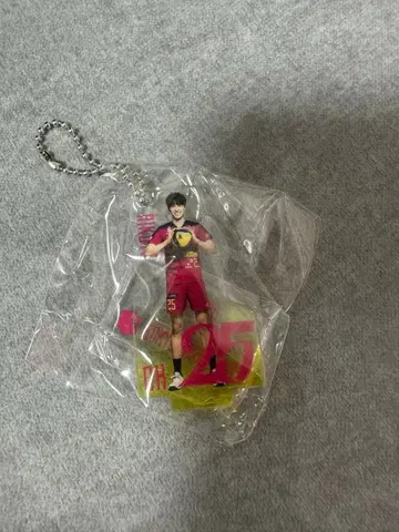 도쿄 그레이트 베어즈 그레베어 가챠 베어 가챠 고토 리쿠토 선수