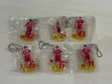 도쿄 그레이트 베어즈 그레베어 베어 가챠