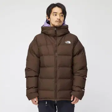 THE NORTH FACE 브라운 다운 자켓
