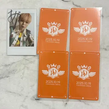 팬더드래곤 아즈 하피카 폴라로이드 트레이딩 카드