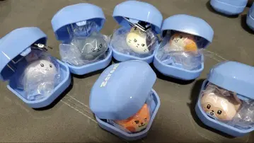 zeroni   반지 6종류 가챠