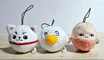 3년 Z반 긴파치 선생님 폼폼 인형 3종