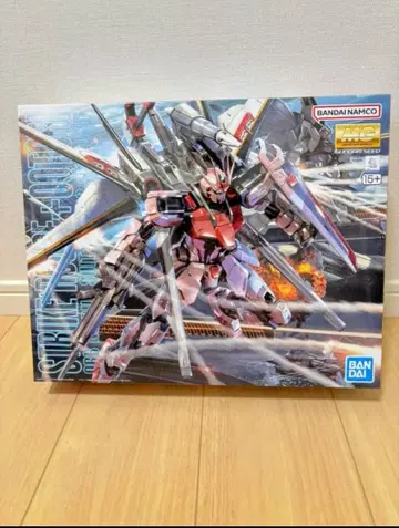 MG 1/100 스트라이크 루즈 오오토리 장비 Ver.RM