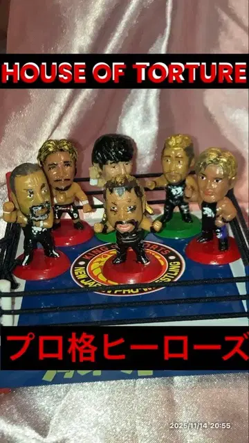 프로 격투 히어로즈 HOUSE OF TORTURE