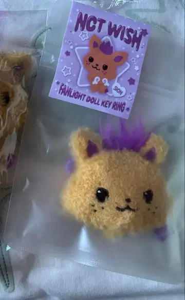 nct wish 시오닝 키링