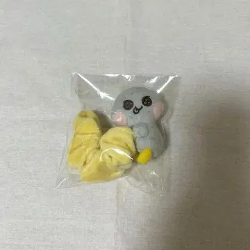 RIIZE 은석 스크런치