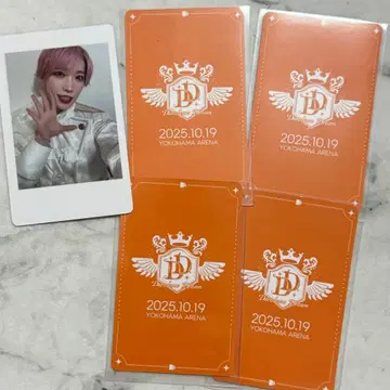 팬더드래곤 타이거 하피카 트레이딩 카드 폴라로이드