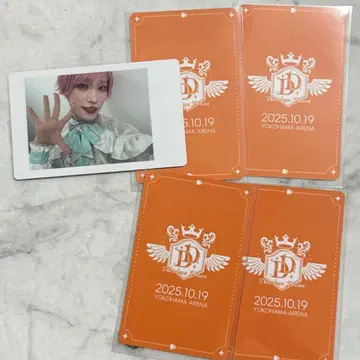 팬더드래곤 타이거 하피카 트레이딩 카드 폴라로이드