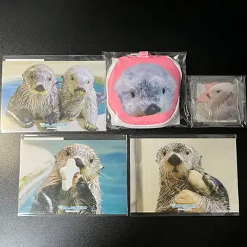 [ 5개 세트 ] 캡슐 복권 x 도바 수족관 랏코의 메이