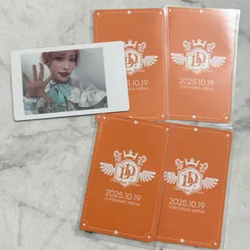 팬더 드래곤 타이거 하피카 트레이딩 카드 폴라로이드