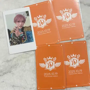 팬더 드래곤 타이거 해피카 트레이딩 카드 폴라로이드