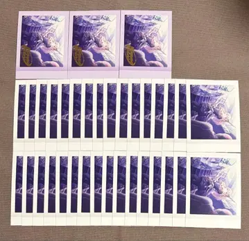 프로세카 6B 특훈 이후 파샤코레 금박 아키야마 미즈키