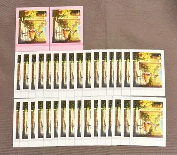 프로세카 6B 특훈 이후 파샤코레 금박 아즈사와 코하네