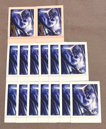 프로세카 6B 특훈 이후 파샤코레 금박 카미시로 루이