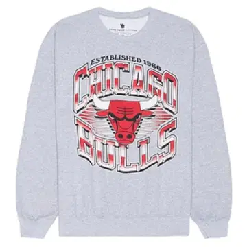 [ L ] JUNK FOOD 속기모 맨투맨 시카고 불스