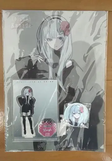 프로세카 요이사키 카나데 ZOZOTOWN 콜라보 굿즈 세트