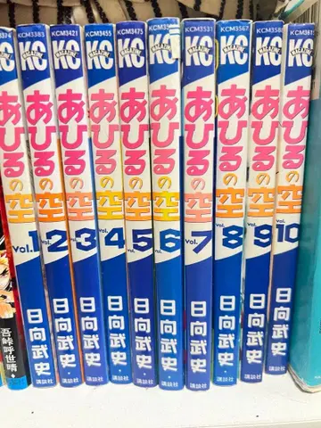 아힐의 하늘 전10권