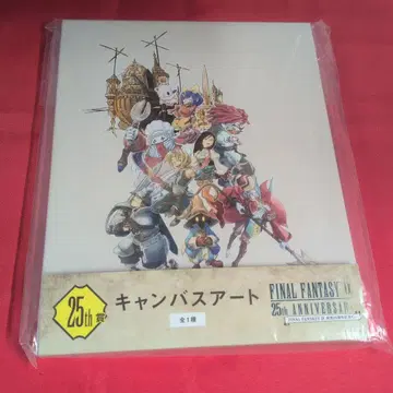 파이널 판타지 IX 25주년 캔버스 아트