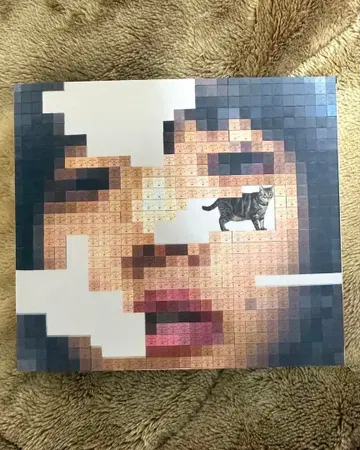 아이묭 고양이 질투