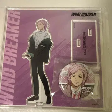 WIND BREAKER 키류 미츠키