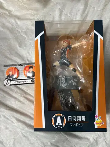 히나타 쇼요 액션 피규어 & 캔뱃지 세트