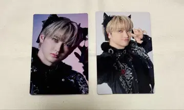 초특급 유키 트레이딩 카드 NINE LIVES