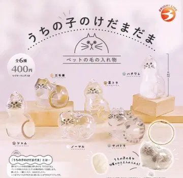 전 6종 풀 컴프 세트 [ 정품 우리 집 털뭉치 ] 가챠 고양이