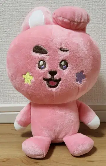 BT21 The Journey 봉제 인형 Cooky 정국 BTS