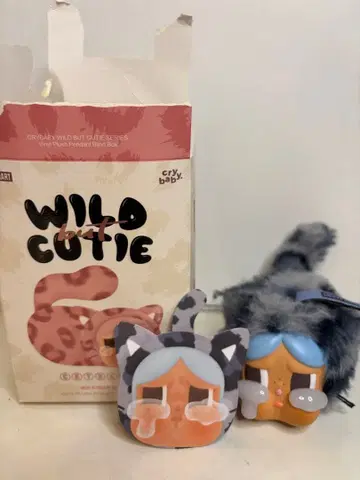 클라이 베이비 wild but cute 데님 큐티