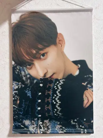 SEVENTEEN DK 태피스트리