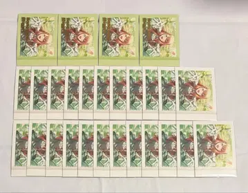 프로세카 5B 파샤코레 금박 하나사토 미노리