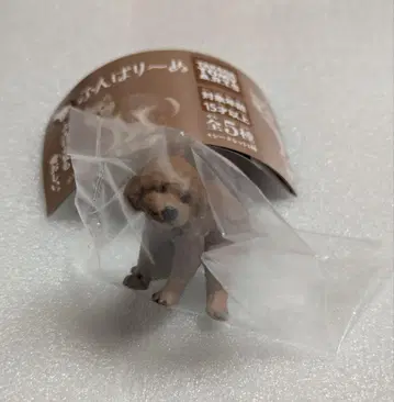 굼벵이 토이 푸들 1개