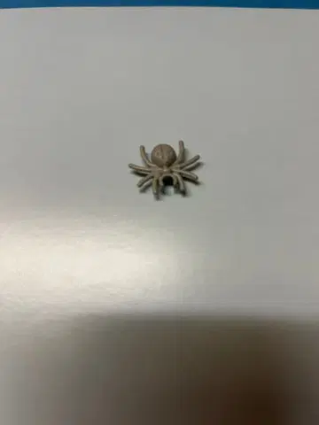 레고 타란툴라 거미
