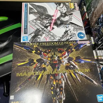 스트라이크 프리덤 MGEX MG 세트 묶음 판매