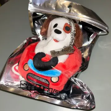 (1366) 미개봉 StrayKids 승민 멘프로 백참