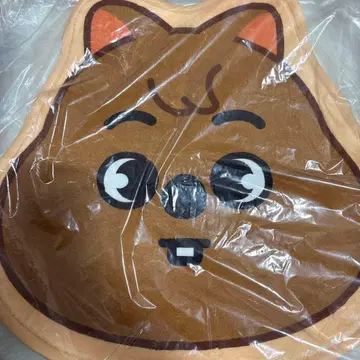 skzoo 미니카 반려동물 한쿼카 straykids