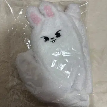 skzoo 장갑 리비트 straykids