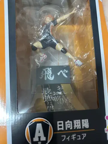 하이큐!! Happy 복권 A상 히나타 쇼요