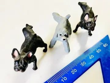 마킹견 토이 푸들 프렌치 불독