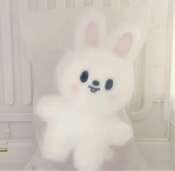 Straykids celebrate SKZOO 스탠딩 리 비트