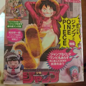 ONE PIECE magazine 20