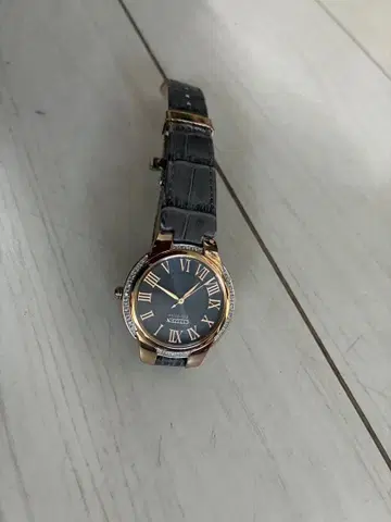 Citizen Eco-Drive 손목시계 그레이
