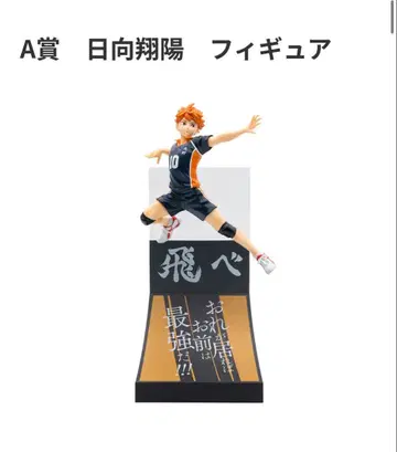 히나타 쇼요 피규어 A상