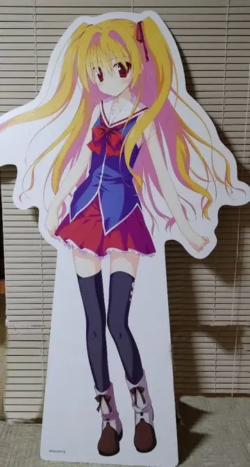 이로토리도리노 세카이 니카이도 신쿠 등신대 패널