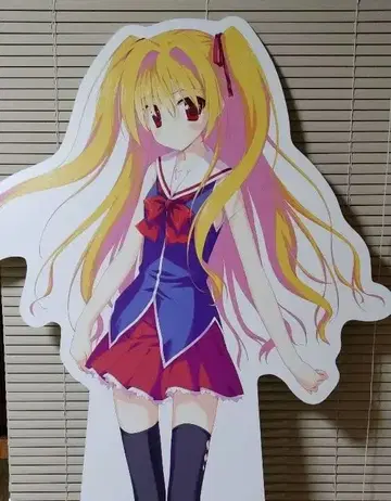 이로토리도리노 세카이 니카이도 신쿠 등신대 패널